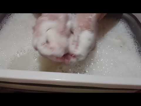 Видео: АСМР 