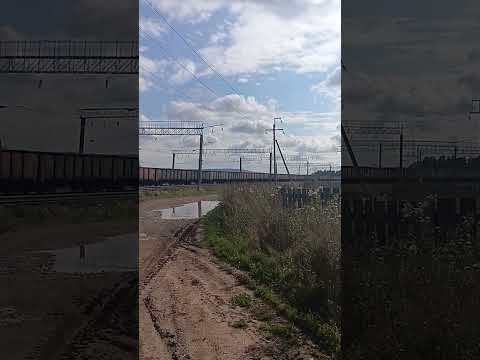 Видео: 9 ноября 2025 г.