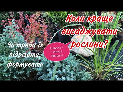 Видео: Коли КРАЩЕ  висаджувати РОСЛИНИ? Восени,влітку або навесні ?Як зберегти рослини в горщиках.Сад. Дача