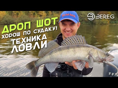 Видео: Дроп Шот хорош по судаку! Техника ловли Drop Shot.