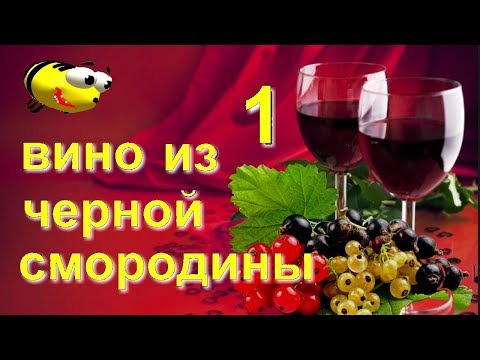 Видео: Домашнее вино из черной смородины (часть 1)