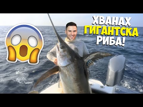 Видео: ХВАНАХ ПЪРВАТА СИ ГИГАНТСКА РИБА! 😍ОЦЕЛЯВАНЕ НА ИЗСОТАВЕН ОСТРОВ