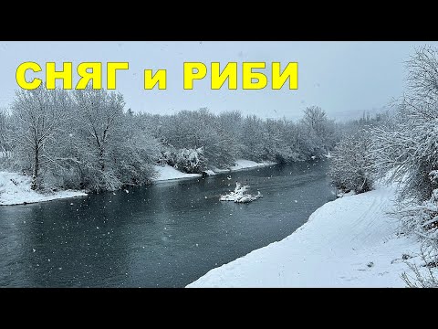 Видео: НАПАДНАХА ни ЧАКАЛИ - НАПРАВИХ 72 ЧАСОВ РИБОЛОВ на ТРИ РАЗЛИЧНИ РЕКИ при СНЕЖНИ УСЛОВИЯ