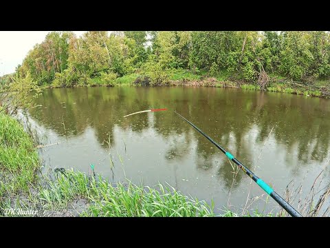 Видео: Попал на раздачу карася! Самая долгожданная рыбалка! #карасьнапоплавок #рыбалка2024