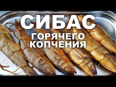 Видео: Рыба Сибас 👍 Горячего копчения! Пошаговый рецепт. Секреты и нюансы!
