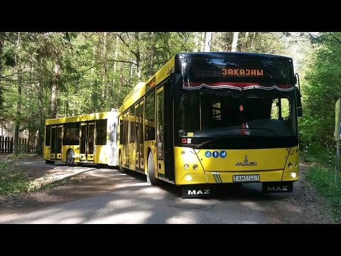 Видео: Автобусы города Барановичи,4 часть(все видео за воскресенье)
