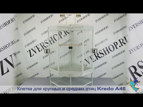 Видео: Клетка Kredo для средних и крупных птиц А46 угловая