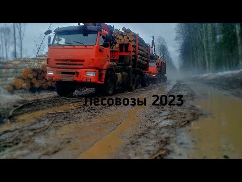 Видео: последний день работы в день
