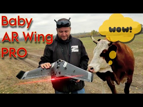 Видео: Baby AR Wing PRO. Идеальный сетап. Компоновка и настройка