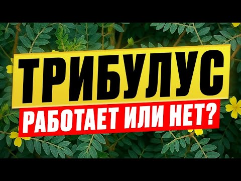 Видео: ТРИБУЛУС - РАБОТАЕТ ИЛИ НЕТ?!
