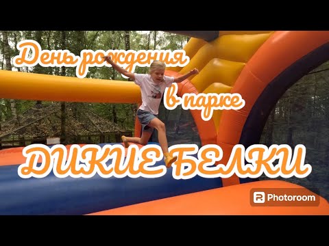 Видео: День рождения в парке приключений «Дикие Белки»