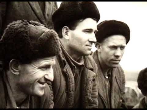 Видео: Рука друга (док. фильм 1961г.)