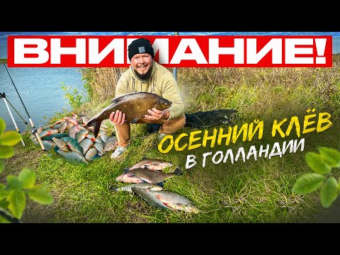 Видео: Рыбалка на реке с ночёвкой