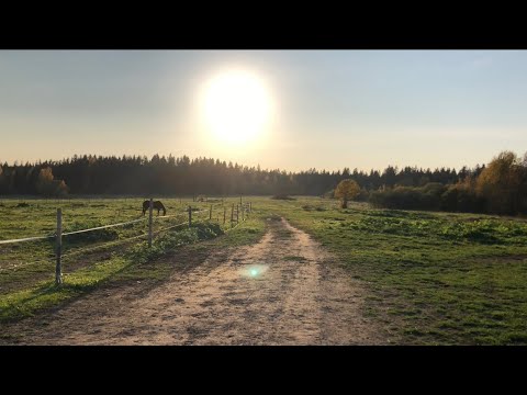 Видео: Прогулка где мы потерялись. Экотропа "Пороги реки Гладышевки". еще не достроили а мы уже пошли)