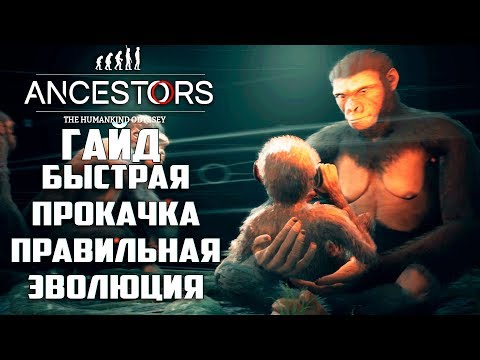 Видео: Как БЫСТРО Прокачаться и Правильно Эволюционировать Ancestors The Humankind Odyssey