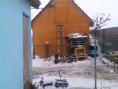 Видео: Тепло в курятнике зимой без финансовых затрат.