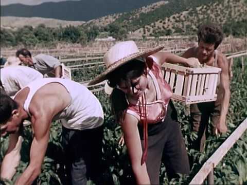 Видео: Вардар филм - Во долината на цветовите