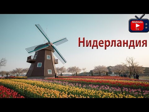Видео: Нидерландия