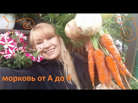 Видео: Морковь от А до Я.
