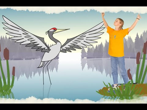 Видео: Физкультминутка