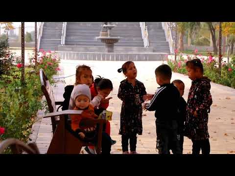 Видео: город Гулистон (Кайроккум) в 2023 году