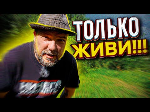 Видео: ТОЛЬКО ЖИВИ