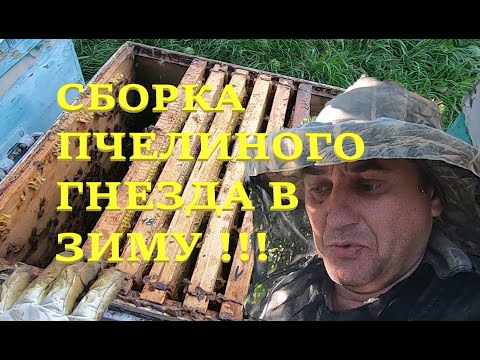 Видео: КАК ПРАВИЛЬНО СОБРАТЬ ПЧЁЛ В ЗИМУ ОЧЕНЬ ПРОСТО ДАЖЕ ДЛЯ НОВИЧКОВ! ПОДРОБНО ПОКАЗЫВАЮ И ВСЕ ОБЪЯСНЯЮ!