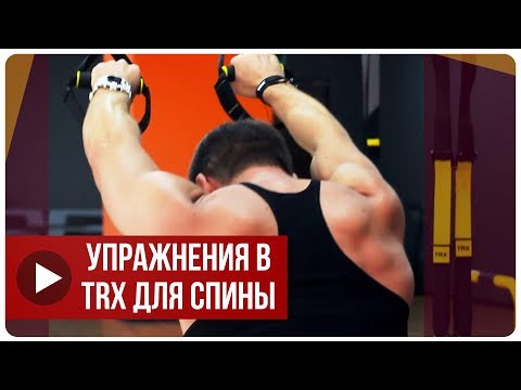 Видео: Александр Мельниченко - Упражнения в TRX для спины | 63