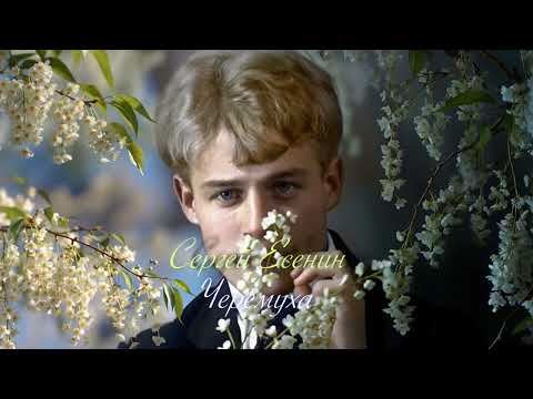Видео: Серёжа Есенин - Черёмуха душистая (Time Duel)