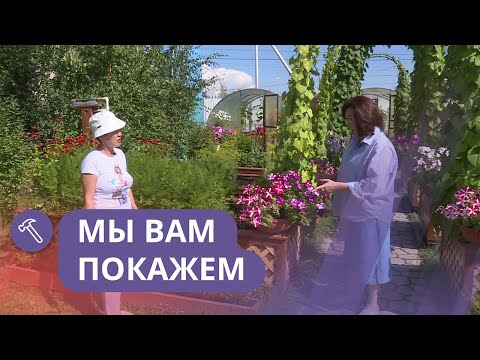 Видео: Мы вам покажем: Полезный цветник для начинающих