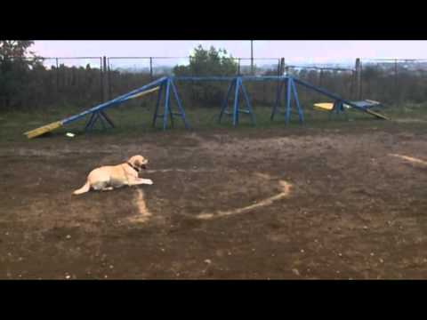 Видео: ОКД, экзамен, Илзлата'с Вита Лавли, 26 09 12