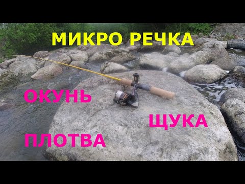Видео: #422 #мормышинг | Микро речка | Плотва на спиннинг |