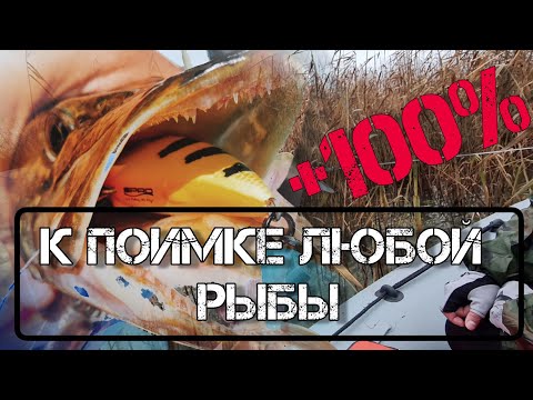 Видео: +100 к уловистости любого воблера | преимущества поводка из флюорокарбона