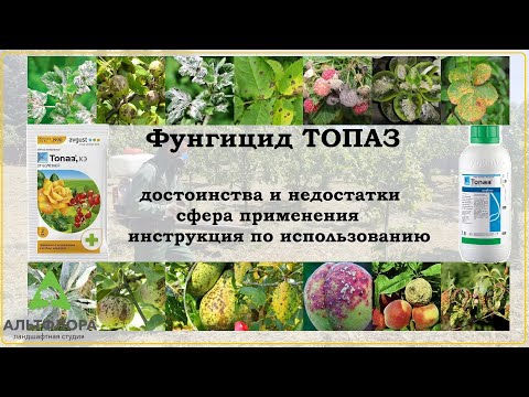 Видео: Топаз - хорошее средство от болезней растений