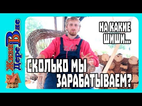 Видео: СКОЛЬКО МЫ ЗАРАБАТЫВАЕМ ?  НА КАКИЕ ШИШИ МЫ ЖИВЕМ?