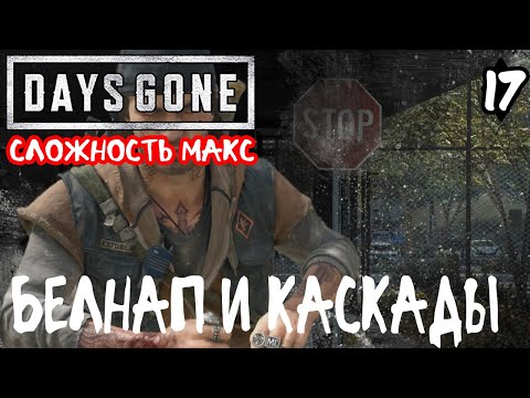 Видео: Days Gone Жизнь после Максимальная сложность Прохождение #17