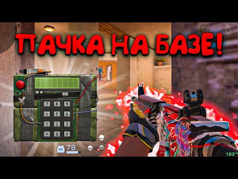 Видео: Поставил ПАЧКУ на БАЗЕ 😱 Античит забанил 😭