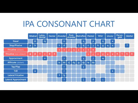 Видео: Таблица согласных звуков МФА - IPA consonant chart