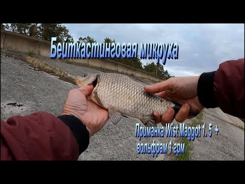 Видео: Караси на микруху  Бейткастинг. (BFS fishing)
