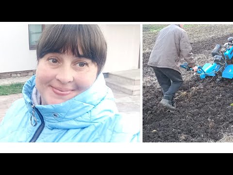 Видео: Підготовка ділянки до посадки часнику ...