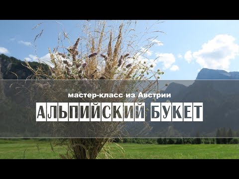 Видео: АЛЬПИЙСКИЙ БУКЕТ | Австрия