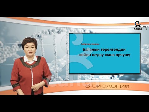 Видео: Биология 8 класс 53 сабак