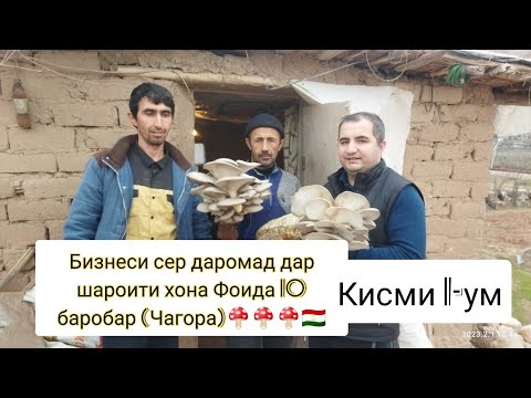 Видео: Хочпарвари (қорч) Бизнес Дар Хона ш Сарбанд