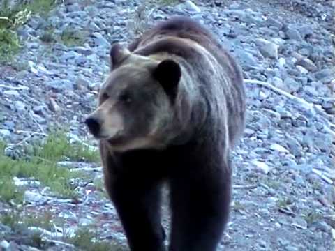 Видео: У края чарующей бездны.avi