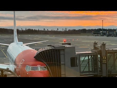 Видео: Как я ориентируюсь в аэропорту? Для тех кто боится лететь один. 