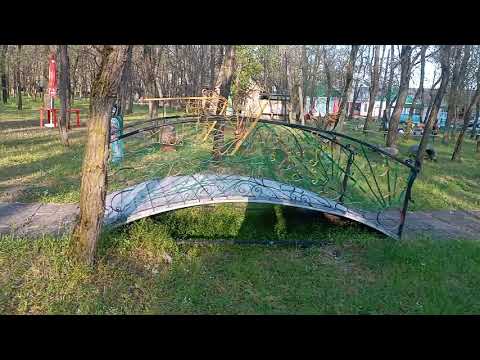 Видео: Молочный лиман  село Алтагирь,Рабочий пионер лагерь Лiсова Пiсня.