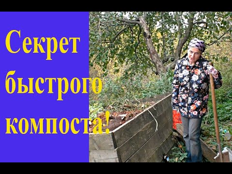 Видео: Как сделать компост легко и быстро