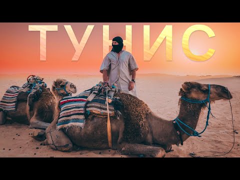 Видео: ТУНИС | ЧТО НУЖНО ПОСМОТРЕТЬ | ХАММАМЕТ | ЭЛЬ-ДЖЕМ | БЕРБЕРЫ | САХАРА | ТАТУИН