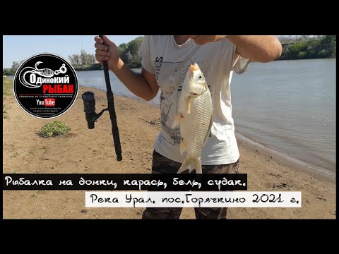 Видео: Рыбалка на донки, карась, бель, судак. Река Урал. пос.Горячкино 2021 г.