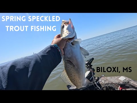 Видео: Весенняя ловля крапчатой ​​форели в Билокси, штат Миссисипи (ловля на рывковую приманку)